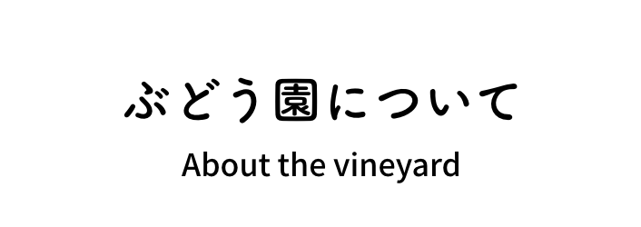 ぶどう園について