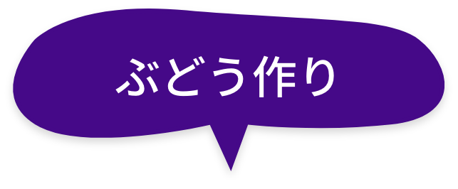 ぶどう作り