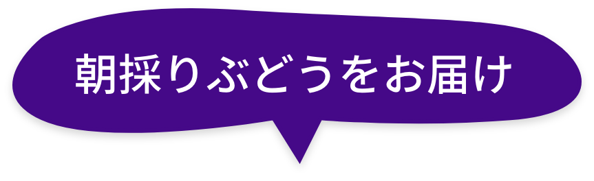 朝とりぶどうをお届け