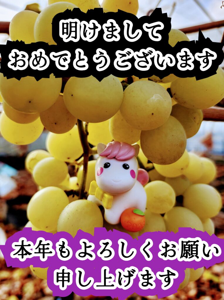 新年明けましておめでとうございます